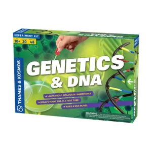 Игра Генетика и ДНК